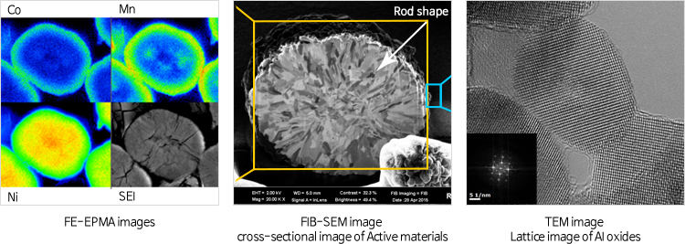 FE-EPMA images, FIB-SEM image cross-sectional image of Active materials, TEM image Lattice image of AI oxides